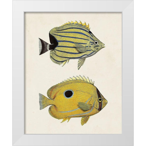 Yellow And Grey Fish III White Modern Wood Framed Art Print by Unknown