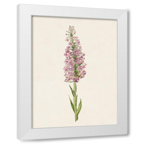 Mauve Garden Flowers I White Modern Wood Framed Art Print by Unknown
