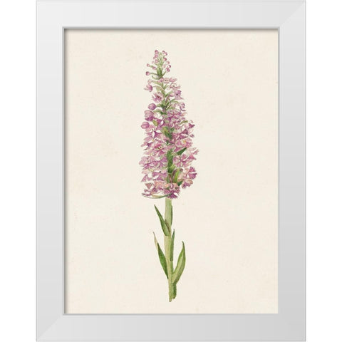 Mauve Garden Flowers I White Modern Wood Framed Art Print by Unknown