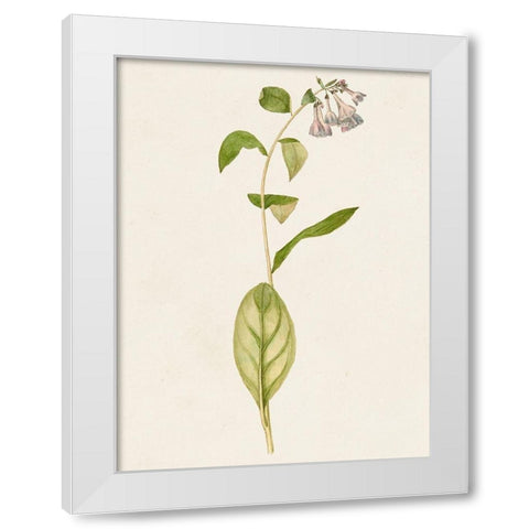 Mauve Garden Flowers IV White Modern Wood Framed Art Print by Unknown