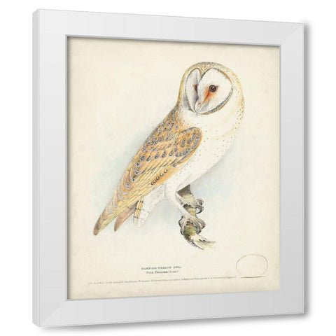 Barn Owl White Modern Wood Framed Art Print by Meyer, H.L.