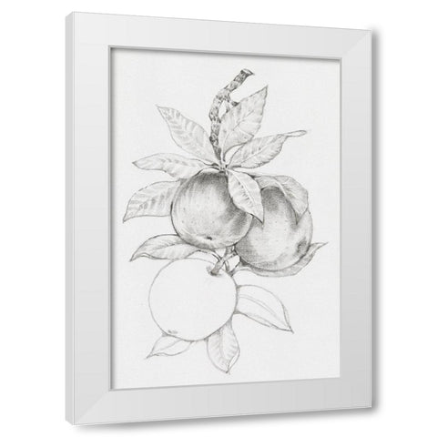 Fruit-Bearing Branch II White Modern Wood Framed Art Print by OToole, Tim