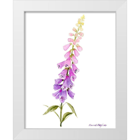 Annies Foxglove I White Modern Wood Framed Art Print by Popp, Grace