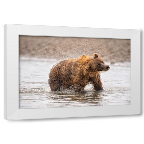 Photography Study Shake it Off White Modern Wood Framed Art Print by PHBurchett