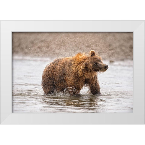 Photography Study Shake it Off White Modern Wood Framed Art Print by PHBurchett