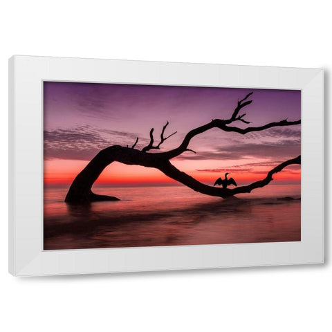 Photography Study Sunset Beach White Modern Wood Framed Art Print by PHBurchett