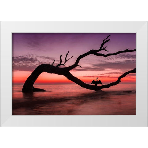 Photography Study Sunset Beach White Modern Wood Framed Art Print by PHBurchett
