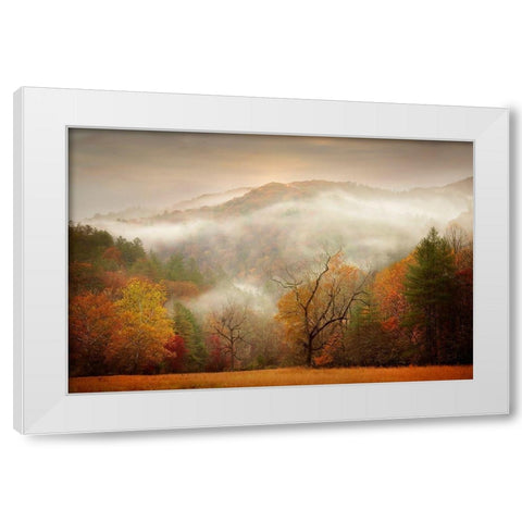 Photography Study Autumn Mist White Modern Wood Framed Art Print by PHBurchett