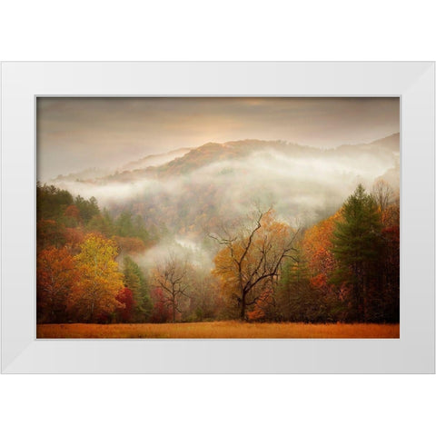 Photography Study Autumn Mist White Modern Wood Framed Art Print by PHBurchett