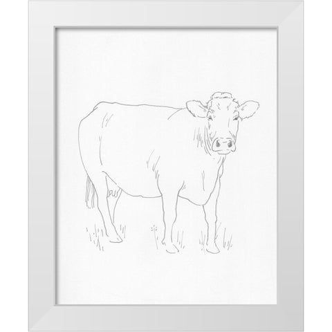Limousin Cattle III White Modern Wood Framed Art Print by Green, Jacob