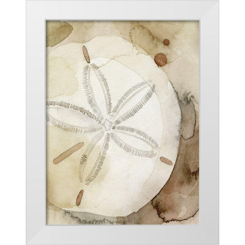 Dry Sand Dollar I White Modern Wood Framed Art Print by Popp, Grace