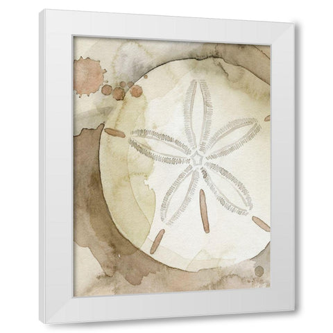 Dry Sand Dollar II White Modern Wood Framed Art Print by Popp, Grace