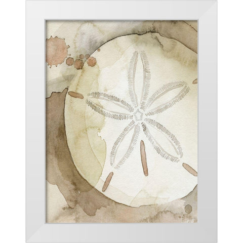 Dry Sand Dollar II White Modern Wood Framed Art Print by Popp, Grace