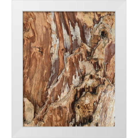 Tree Texture Triptych I White Modern Wood Framed Art Print by Stelfox, Norm