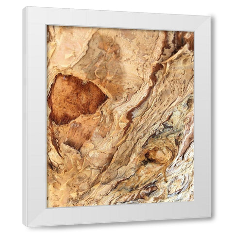 Tree Texture Triptych II White Modern Wood Framed Art Print by Stelfox, Norm