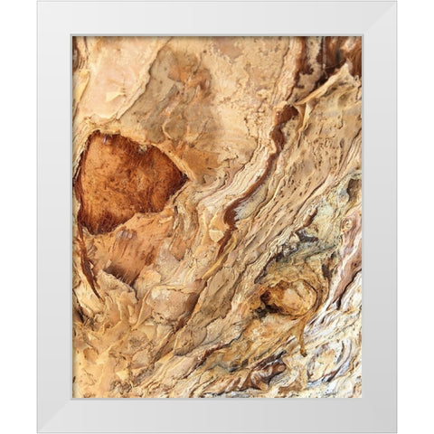 Tree Texture Triptych II White Modern Wood Framed Art Print by Stelfox, Norm