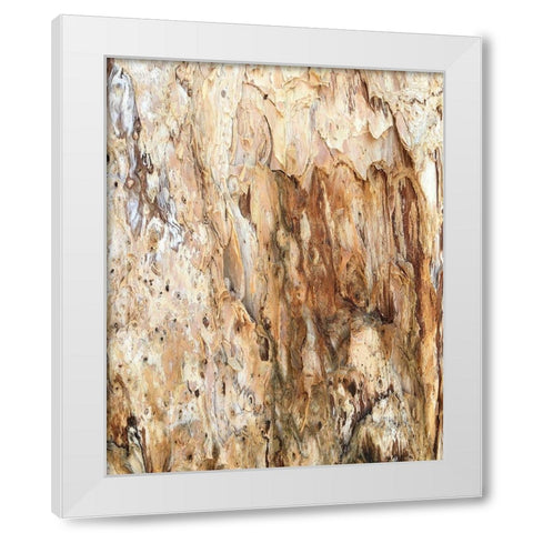Tree Texture Triptych III White Modern Wood Framed Art Print by Stelfox, Norm