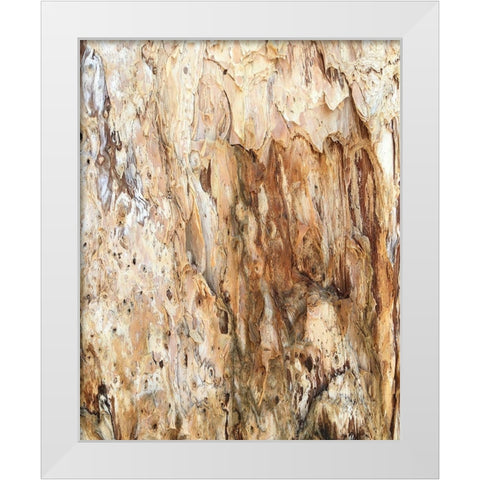 Tree Texture Triptych III White Modern Wood Framed Art Print by Stelfox, Norm