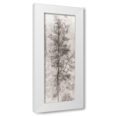 Tree Triptych II White Modern Wood Framed Art Print by Stelfox, Norm