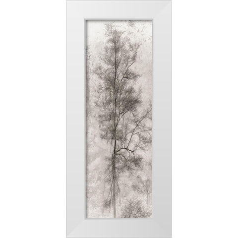 Tree Triptych II White Modern Wood Framed Art Print by Stelfox, Norm