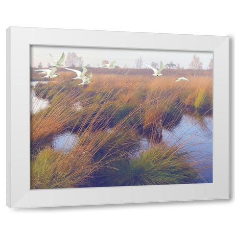 Marshland Hues II White Modern Wood Framed Art Print by Hunziker, Steve