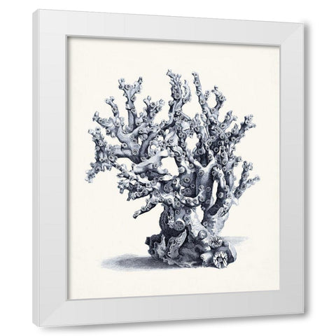 Blue Antique Coral II White Modern Wood Framed Art Print by Vision Studio