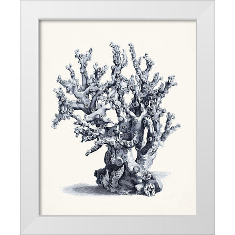 Blue Antique Coral II White Modern Wood Framed Art Print by Vision Studio