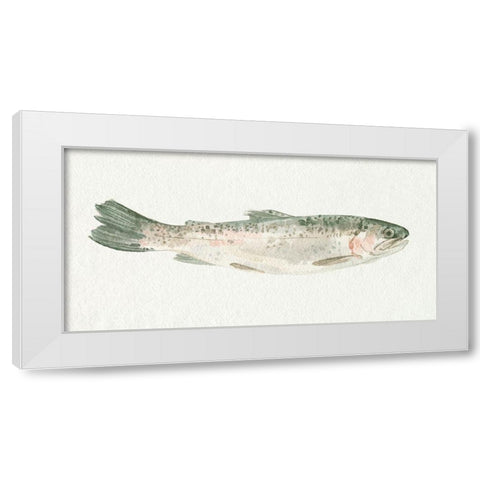 Fresh Catch III White Modern Wood Framed Art Print by Caroline, Emma
