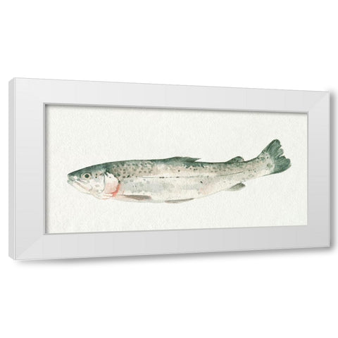 Fresh Catch IV White Modern Wood Framed Art Print by Caroline, Emma