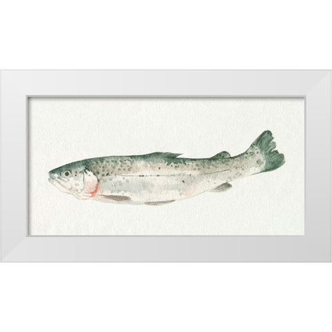 Fresh Catch IV White Modern Wood Framed Art Print by Caroline, Emma