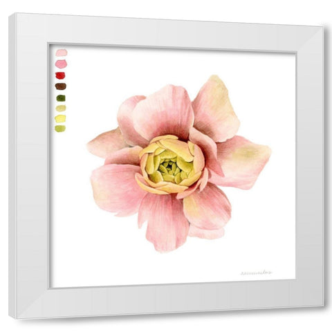 Watercolor Ranunculus Study I White Modern Wood Framed Art Print by Popp, Grace