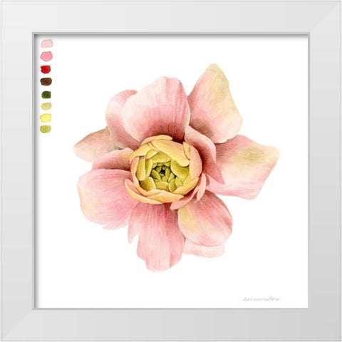 Watercolor Ranunculus Study I White Modern Wood Framed Art Print by Popp, Grace