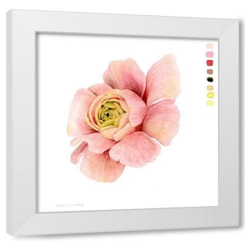 Watercolor Ranunculus Study II White Modern Wood Framed Art Print by Popp, Grace