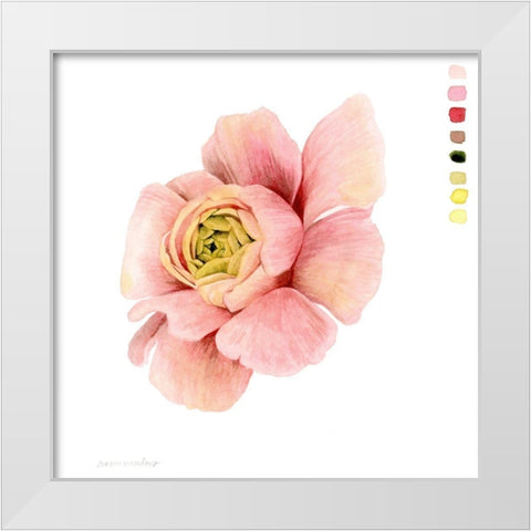 Watercolor Ranunculus Study II White Modern Wood Framed Art Print by Popp, Grace