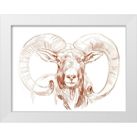 Big Horn Sheep I White Modern Wood Framed Art Print by Parker, Jennifer Paxton
