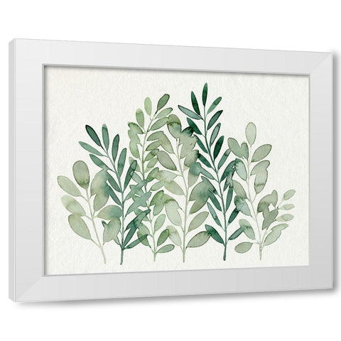 Foraged Greens I White Modern Wood Framed Art Print by Popp, Grace