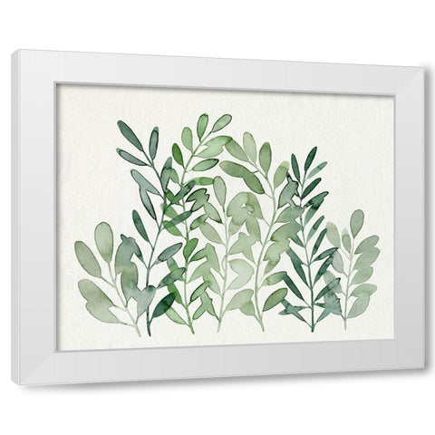 Foraged Greens II White Modern Wood Framed Art Print by Popp, Grace