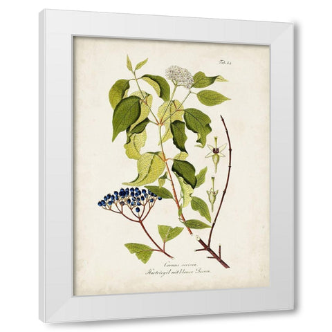 Tree in Bloom I White Modern Wood Framed Art Print by Unknown