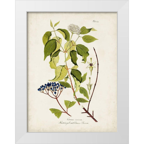 Tree in Bloom I White Modern Wood Framed Art Print by Unknown