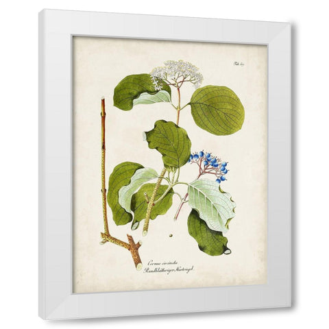 Tree in Bloom II White Modern Wood Framed Art Print by Unknown