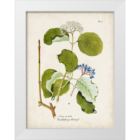 Tree in Bloom II White Modern Wood Framed Art Print by Unknown