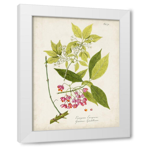 Tree in Bloom IV White Modern Wood Framed Art Print by Unknown