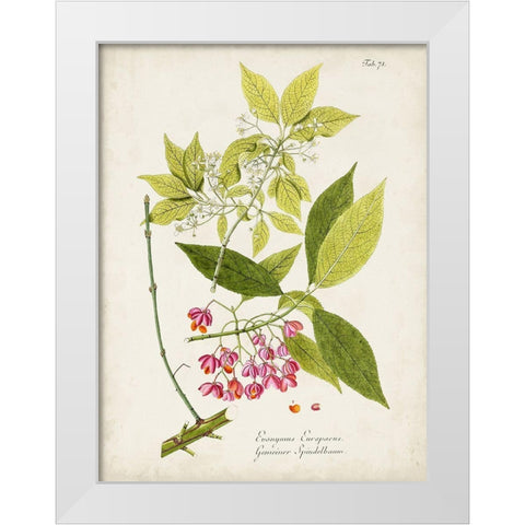 Tree in Bloom IV White Modern Wood Framed Art Print by Unknown