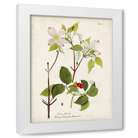 Tree in Bloom V White Modern Wood Framed Art Print by Unknown