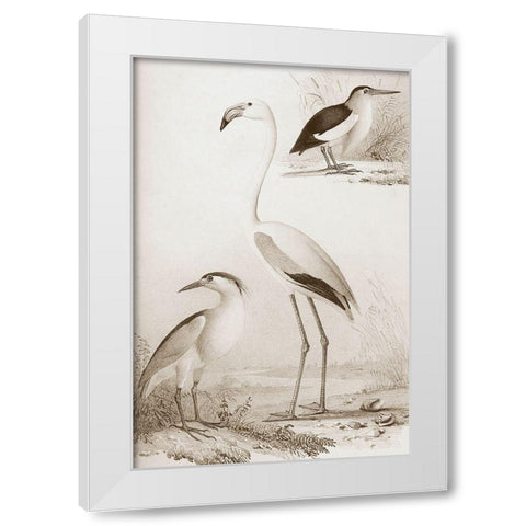 Sepia Water Birds I White Modern Wood Framed Art Print by Unknown