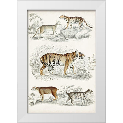 Journal of Natural History II White Modern Wood Framed Art Print by Cuvier, Georges