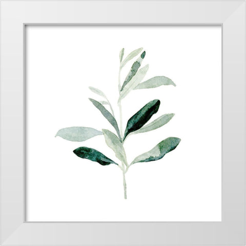 Summer Olive Branch II White Modern Wood Framed Art Print by Caroline, Emma