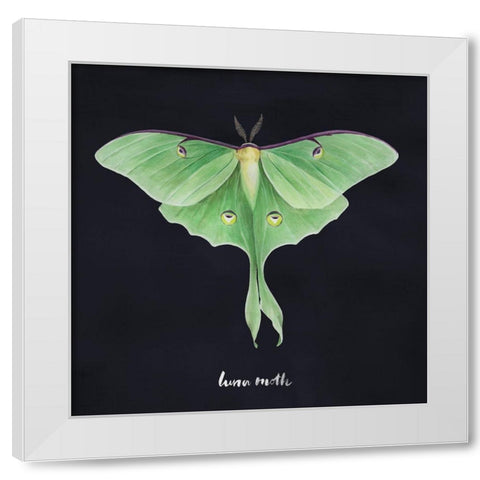 Luna Moth I White Modern Wood Framed Art Print by Popp, Grace