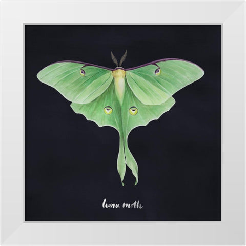 Luna Moth I White Modern Wood Framed Art Print by Popp, Grace