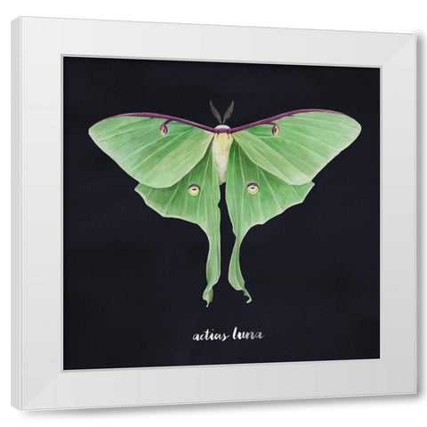 Luna Moth II White Modern Wood Framed Art Print by Popp, Grace